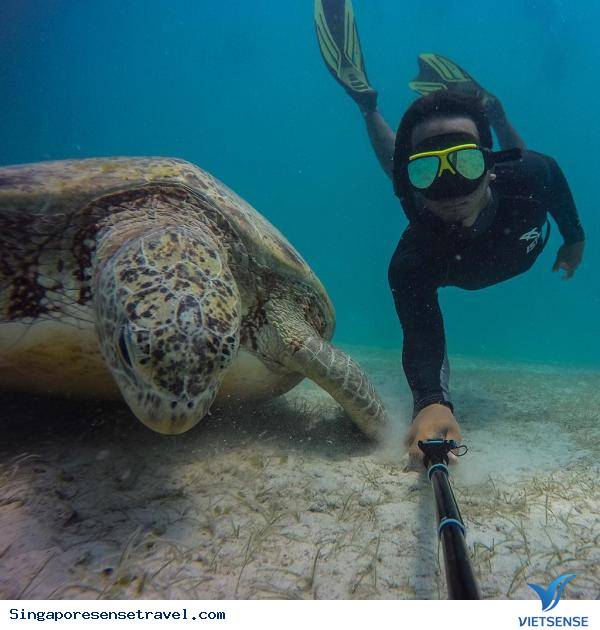 Đưa trẻ tới Legoland ở Johoh: Đưa trẻ tới Legoland ở Johoh: