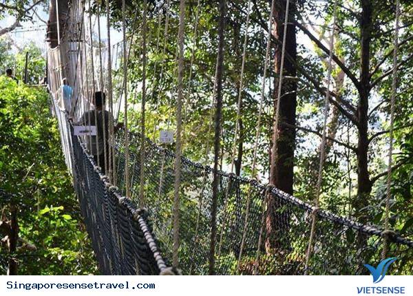 Khám phá Gua Kelam: Khám phá Gua Kelam: