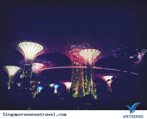 Mẻo Nhỏ hành trình Bụi Singapore Chỉ Tốn Chưa Đầy 6 Triệu Đồng - Ảnh 3