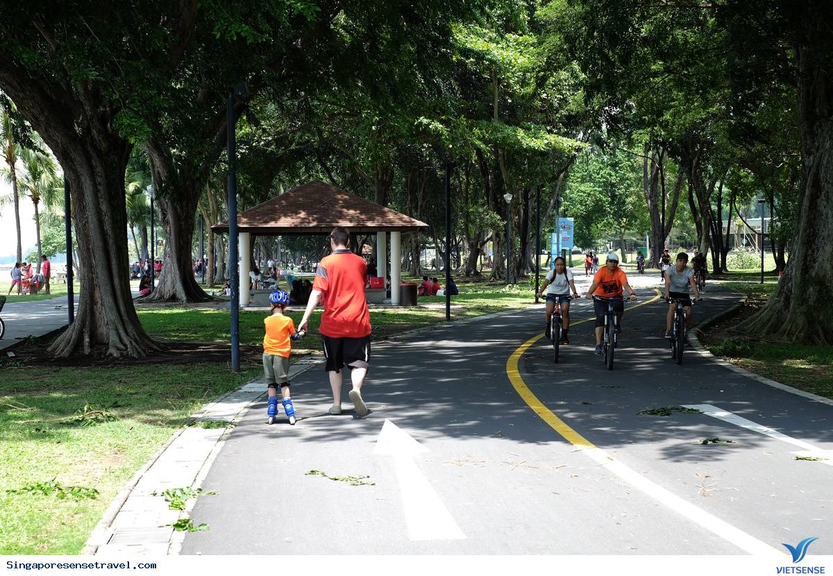 Một ngày bình yên sống chậm trên đảo quốc Singapore - Ảnh 2 Một ngày bình yên sống chậm trên đảo quốc Singapore - Ảnh 2