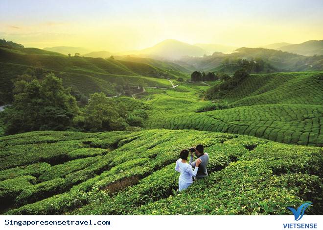 Những lý do để chọn Malaysia là điểm dừng chân tiếp theo - Ảnh 3