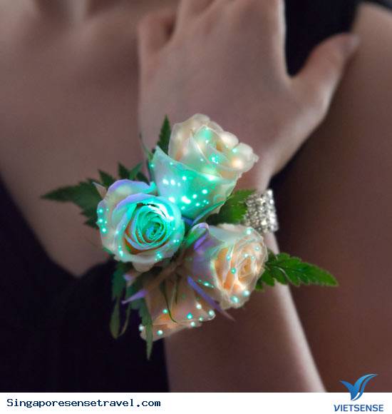 Hoa phát sáng đầu tiên trên thế giới