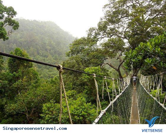 Những trải nghiệm tuyệt vời bạn nên thử khi đến Malaysia - Ảnh 14