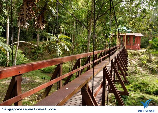 Penang Malaysia - Vùng Đất Thú Vị Nhiều Điều Bất Ngờ - Ảnh 8 Penang Malaysia - Vùng Đất Thú Vị Nhiều Điều Bất Ngờ - Ảnh 8