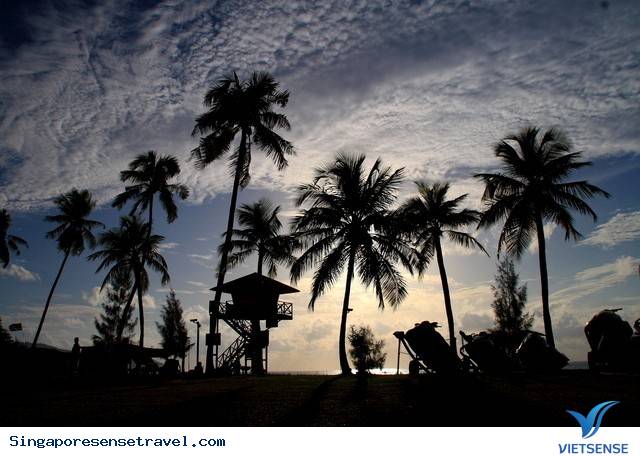 Penang Malaysia - Vùng Đất Thú Vị Nhiều Điều Bất Ngờ - Ảnh 10 Penang Malaysia - Vùng Đất Thú Vị Nhiều Điều Bất Ngờ - Ảnh 10