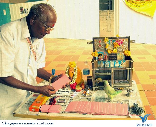 Phần 2: Ghi nhớ 10 trải nghiệm đầy thú vị khi tới Singapore - Ảnh 3