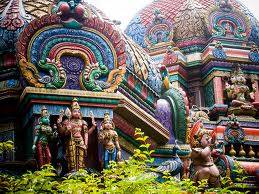 george2.jpg (259×194)