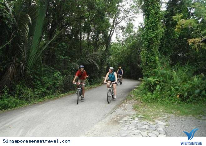 Phương tiện Phương tiện