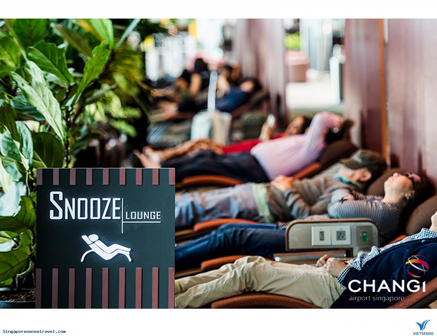 Sân bay Changi và dịch vụ 0 đồng tuyệt vời - Ảnh 4 Sân bay Changi và dịch vụ 0 đồng tuyệt vời - Ảnh 4