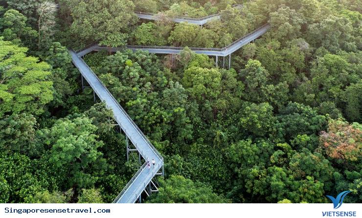 Singapore - Những câu chuyện kỳ quái ở đảo quốc - Ảnh 3