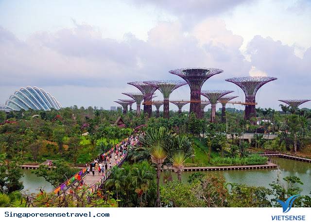 Singapore - Những câu chuyện kỳ quái ở đảo quốc - Ảnh 2