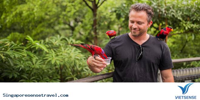 Singapore có gì đặc biệt cuốn hút du khách ? - Ảnh 3 Singapore có gì đặc biệt cuốn hút du khách ? - Ảnh 3