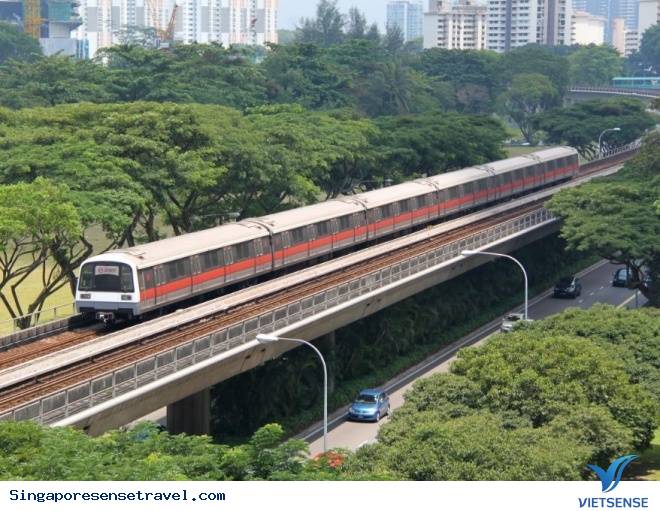 Singapore phủ xanh toàn bộ đất nước - Ảnh 3 Singapore phủ xanh toàn bộ đất nước - Ảnh 3