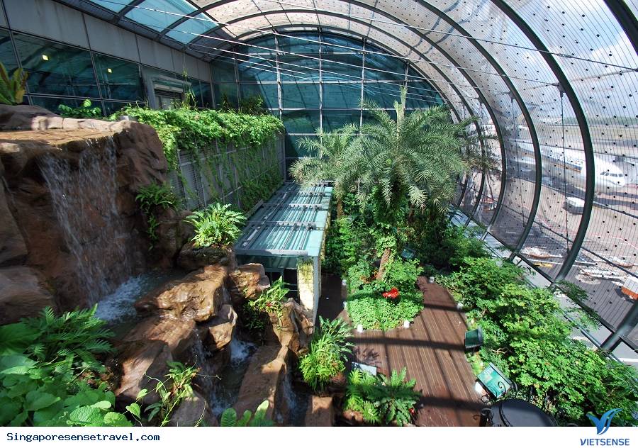 Singapore về đích về dịch vụ sân bay năm 2016 - Ảnh 3 Singapore về đích về dịch vụ sân bay năm 2016 - Ảnh 3