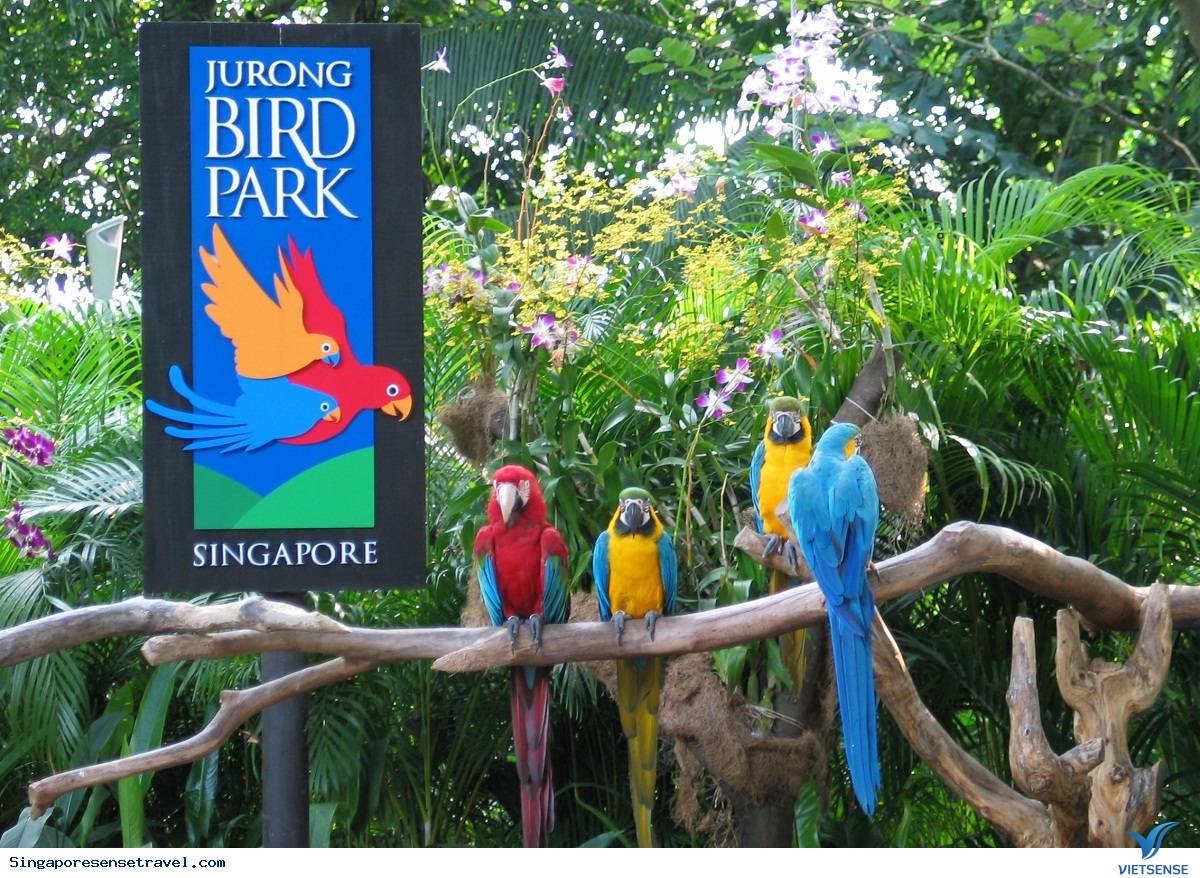 Sở thú Singapore khiến trẻ em mê mẩn - Ảnh 4