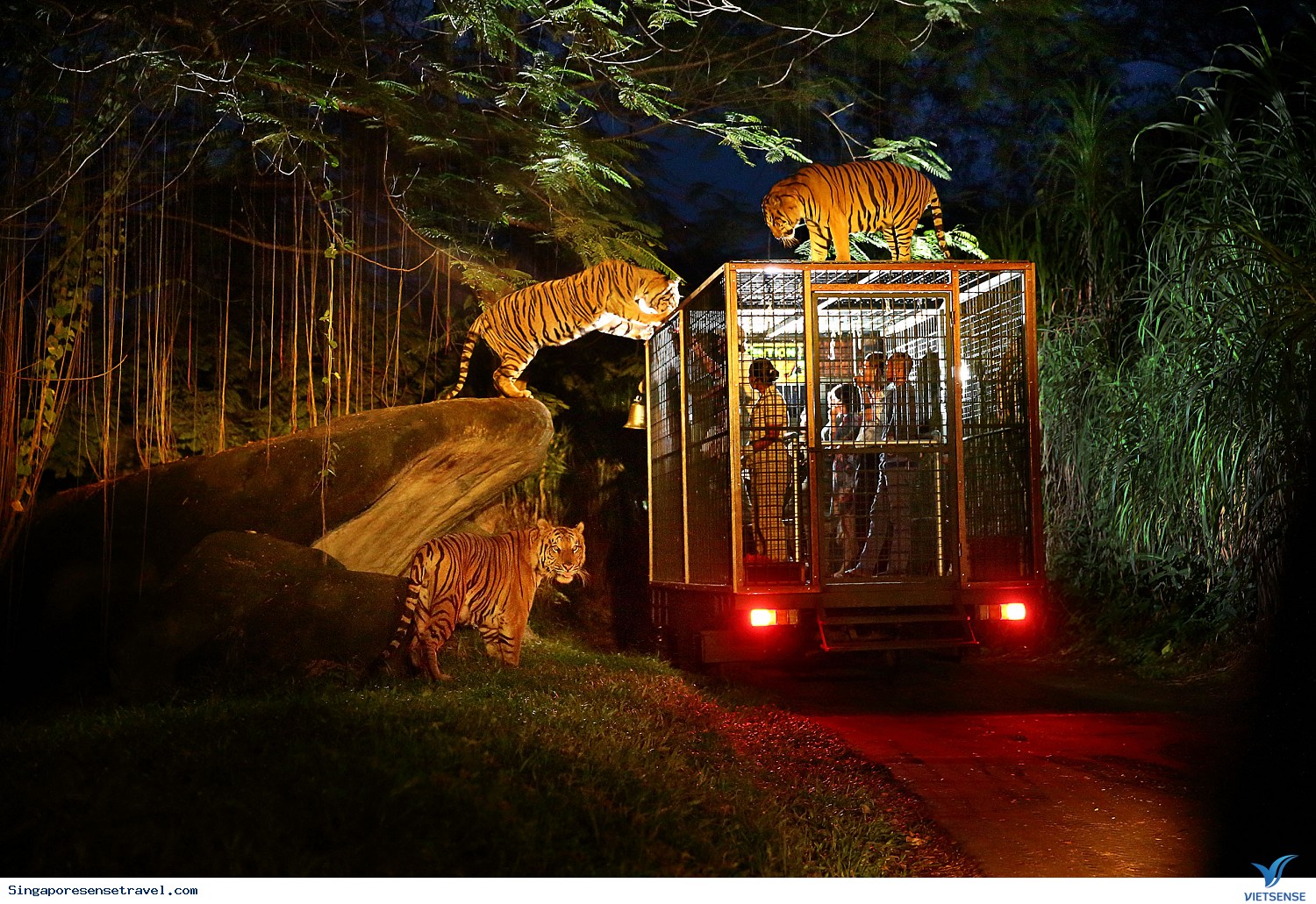 Sở thú Singapore khiến trẻ em mê mẩn - Ảnh 2