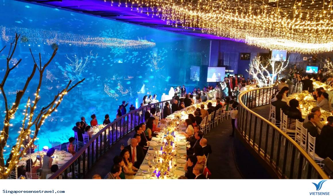 Sở thú Singapore khiến trẻ em mê mẩn - Ảnh 6