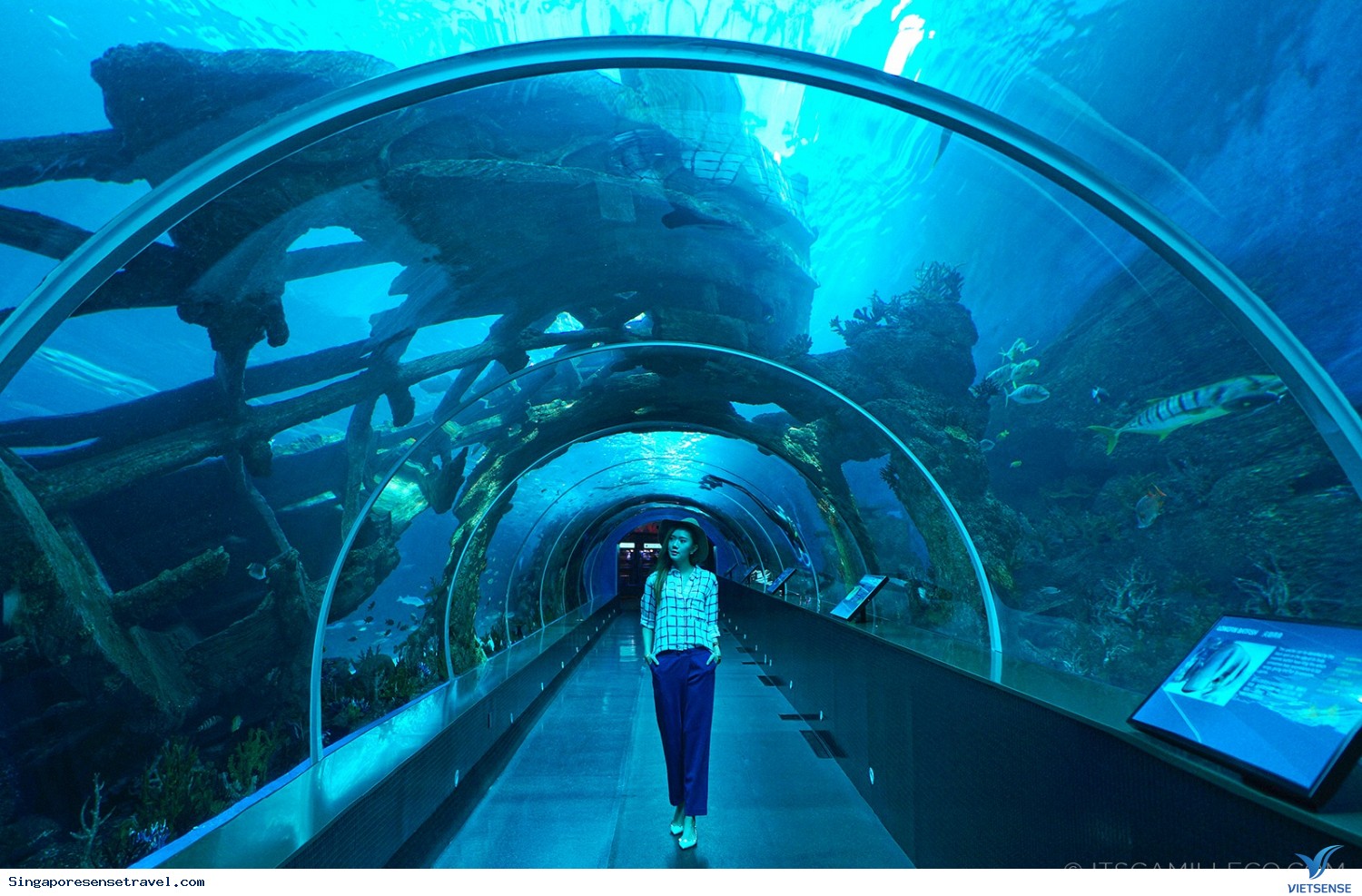 Sở thú Singapore khiến trẻ em mê mẩn - Ảnh 7