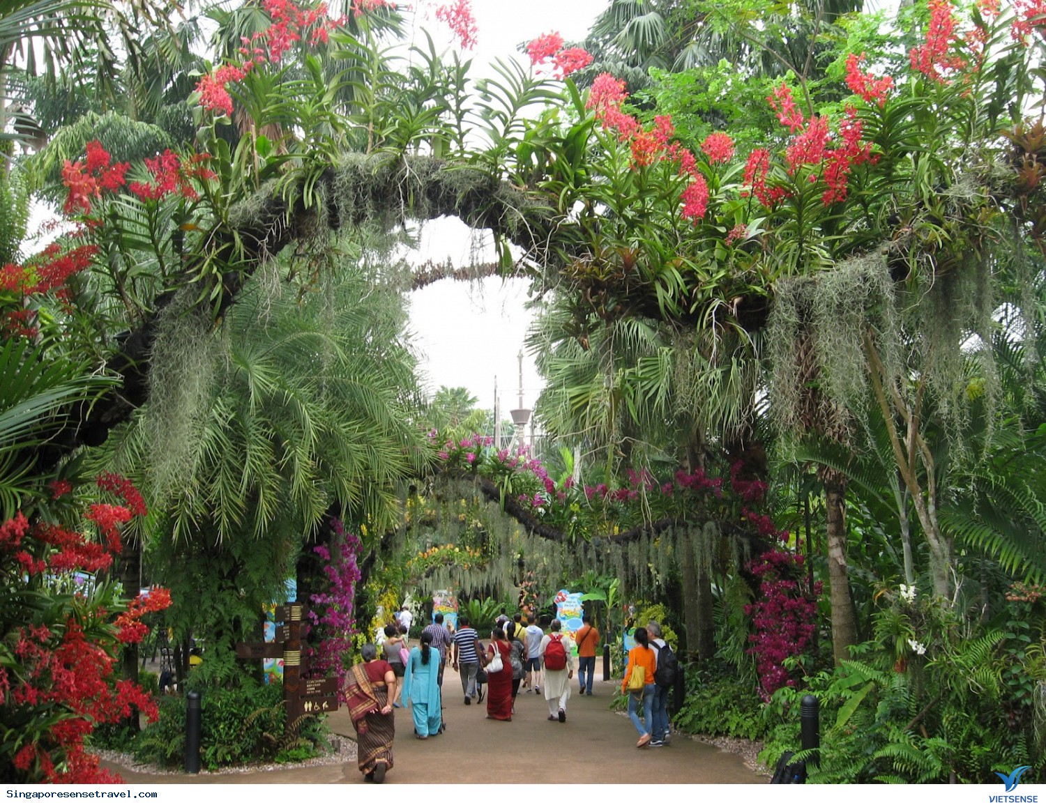 Sở thú Singapore khiến trẻ em mê mẩn - Ảnh 5