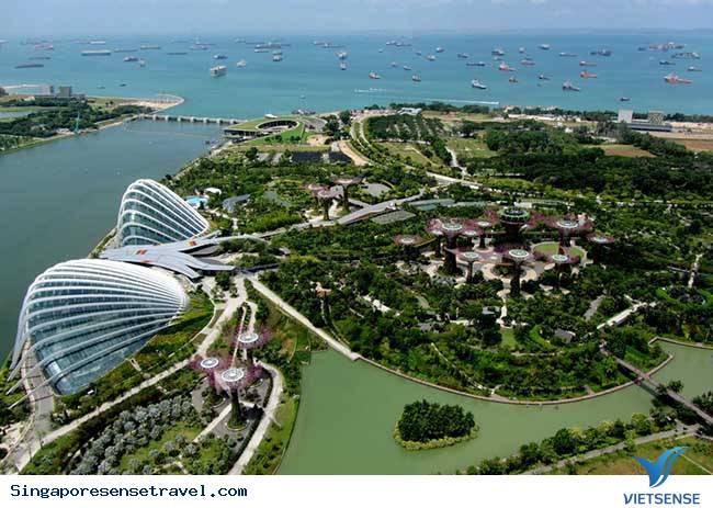 Vườn trong vịnh Vườn trong vịnh