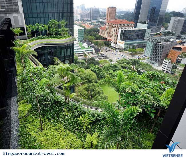 Vườn Hoàng gia Singapore Vườn Hoàng gia Singapore