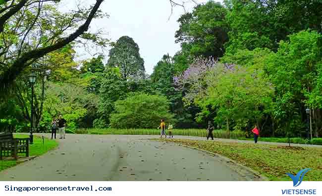 Vườn quốc gia bách thảo Botanical Garden Vườn quốc gia bách thảo Botanical Garden