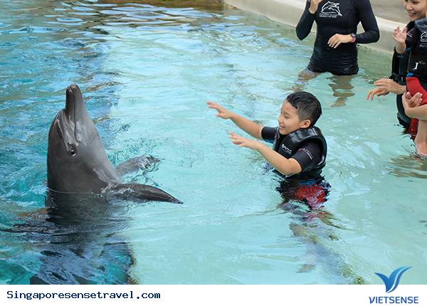 Theo gót chân sao Việt khám phá Singapore mơ mộng - Ảnh 4 Theo gót chân sao Việt khám phá Singapore mơ mộng - Ảnh 4