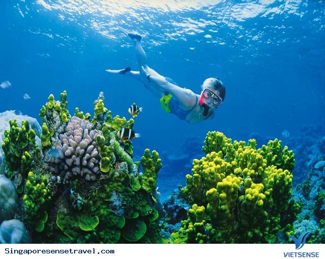 Thiên đường nhiệt đới – Malaysia - Ảnh 3