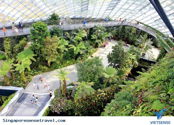 Thông Thạo Du Lịch Singapore Đơn Giản Hơn Chỉ Với MRT