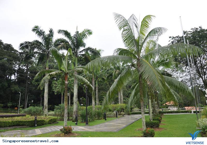 Tìm về tượng đài chiến thắng ghi dấu ấn lịch sử Malaysia - Ảnh 3