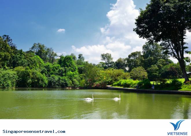 Tới Singapore rồi thì bạn hãy làm 9 việc sau - Ảnh 2