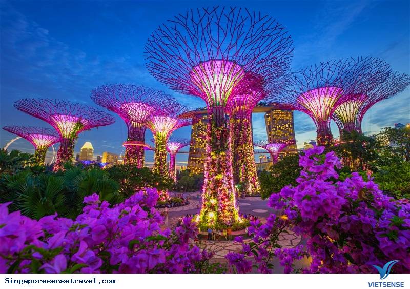 Tổng quan Singapore - Ảnh 3 Tổng quan Singapore - Ảnh 3