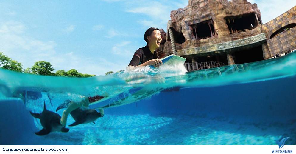 Trải nghiệm chương trình thế giới cá Heo ở Sentosa - Ảnh 3 Trải nghiệm chương trình thế giới cá Heo ở Sentosa - Ảnh 3