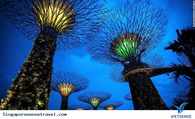 Vì Sao Singapore Trở Thành Lựa Chọn Của lữ khách
Vì Sao Singapore Trở Thành Lựa Chọn Của khách thăm quan