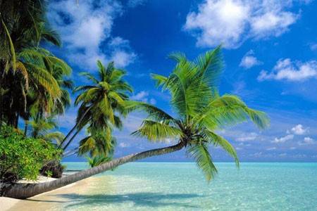 bali2.jpg (450×300) bali2.jpg (450×300)