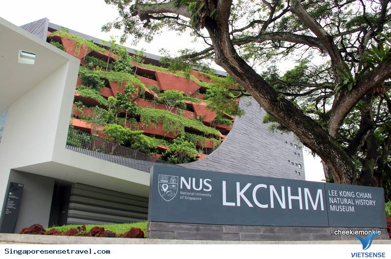 Vui chơi thả ga tại 4 địa điểm tuyệt vời sau tại Singapore - Ảnh 5 Vui chơi thả ga tại 4 địa điểm tuyệt vời sau tại Singapore - Ảnh 5