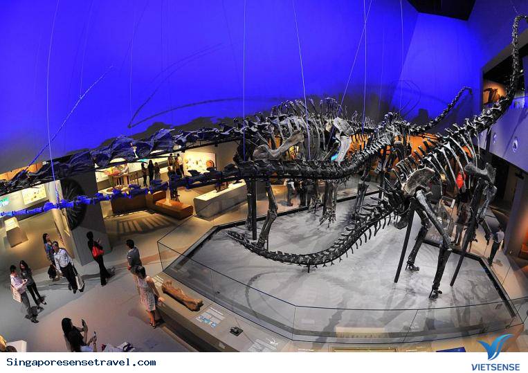 Vui chơi thả ga tại 4 địa điểm tuyệt vời sau tại Singapore - Ảnh 6 Vui chơi thả ga tại 4 địa điểm tuyệt vời sau tại Singapore - Ảnh 6