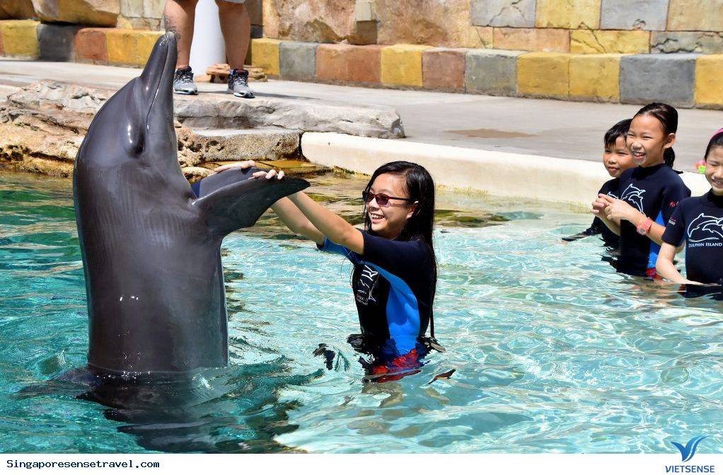 Vui chơi thả ga tại 4 địa điểm tuyệt vời sau tại Singapore - Ảnh 1 Vui chơi thả ga tại 4 địa điểm tuyệt vời sau tại Singapore - Ảnh 1