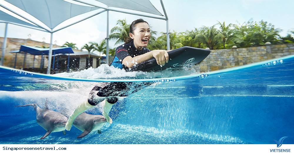 Vui chơi thả ga tại 4 địa điểm tuyệt vời sau tại Singapore - Ảnh 2 Vui chơi thả ga tại 4 địa điểm tuyệt vời sau tại Singapore - Ảnh 2