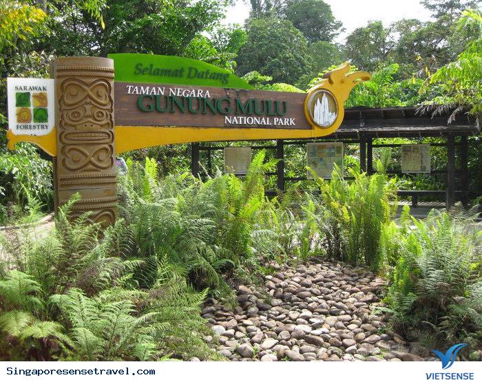Vườn Quốc Gia Gunung Mulu - Ảnh 1 Vườn Quốc Gia Gunung Mulu - Ảnh 1