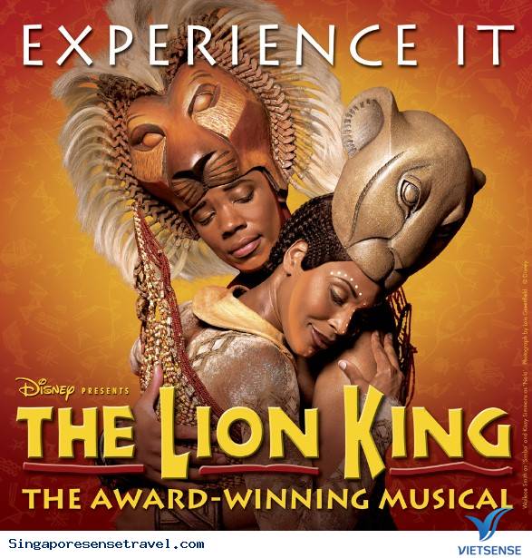Nội dung sâu sắc trong từng phút của vở kịch The Lion King - Ảnh 6 Nội dung sâu sắc trong từng phút của vở kịch The Lion King - Ảnh 6